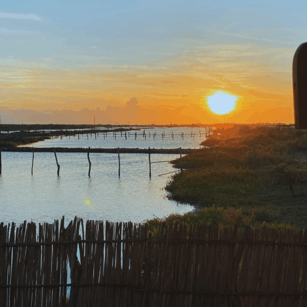 Palaa Ecolodge, Eco Hotel en Mayapo, La Guajira, Colombia