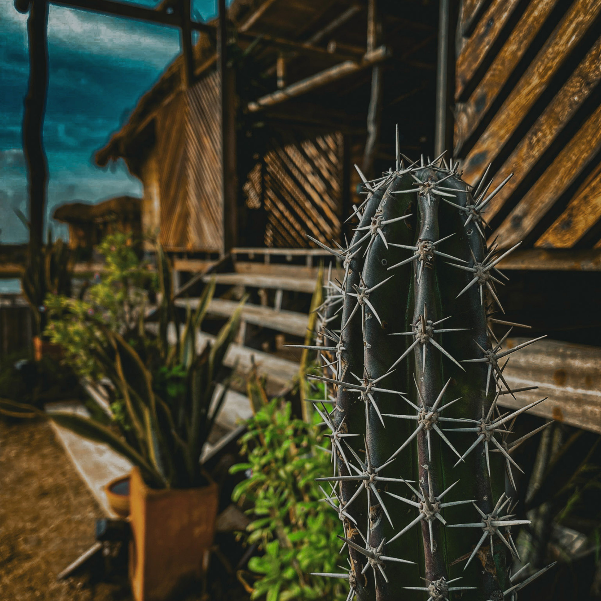 Palaa Ecolodge, Eco Hotel en Mayapo, La Guajira, Colombia